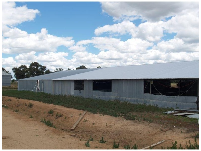 17 Irrigation Road, Numurkah VIC 3636