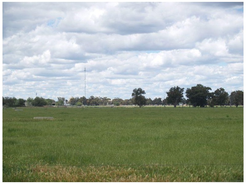 59 Saxton Street West, Numurkah VIC 3636