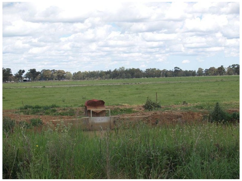 59 Saxton Street West, Numurkah VIC 3636