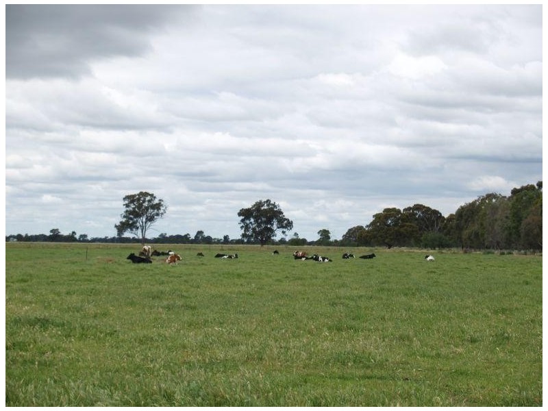 1557 Singapore Road, Naring VIC 3636