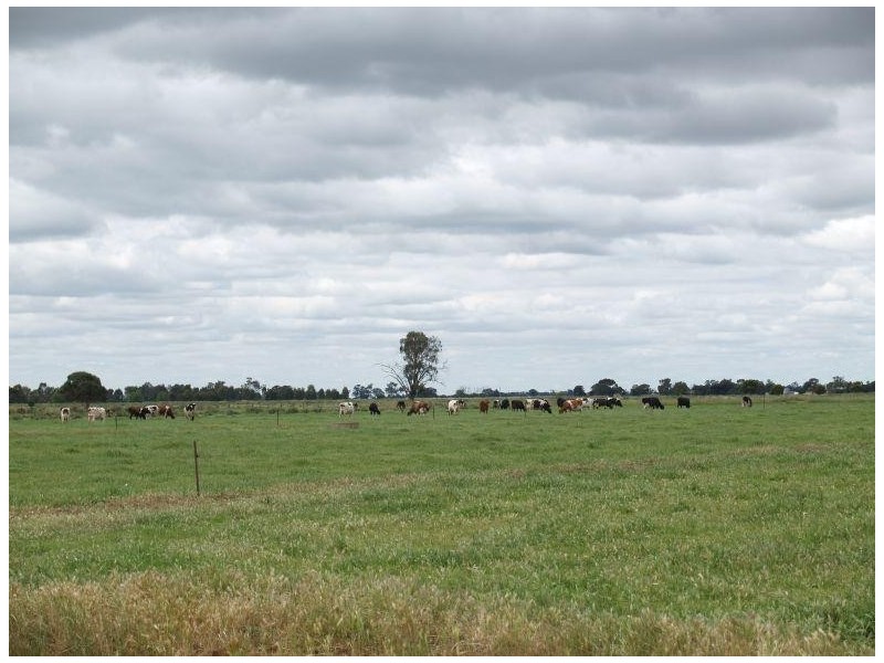 1557 Singapore Road, Naring VIC 3636