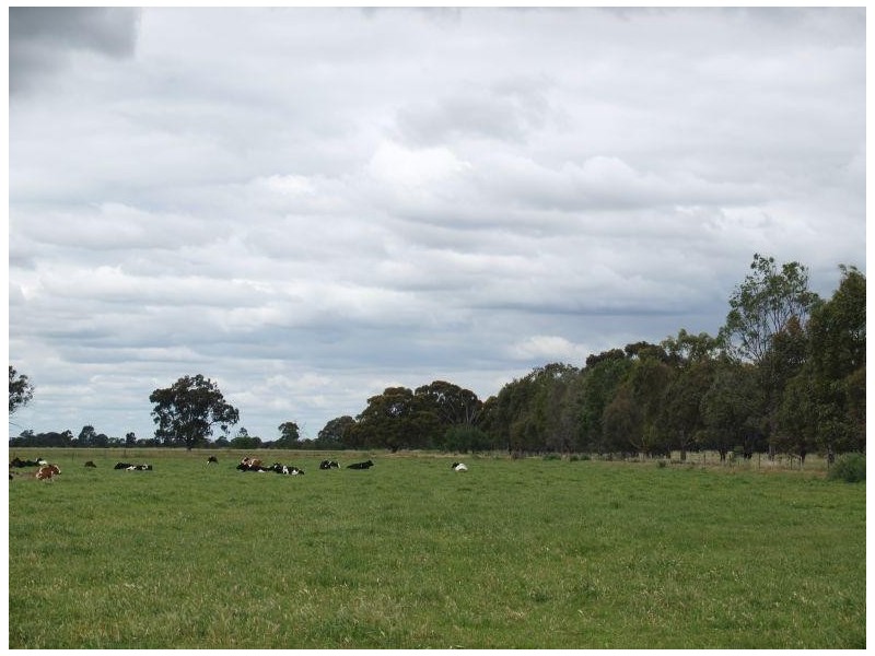 1557 Singapore Road, Naring VIC 3636