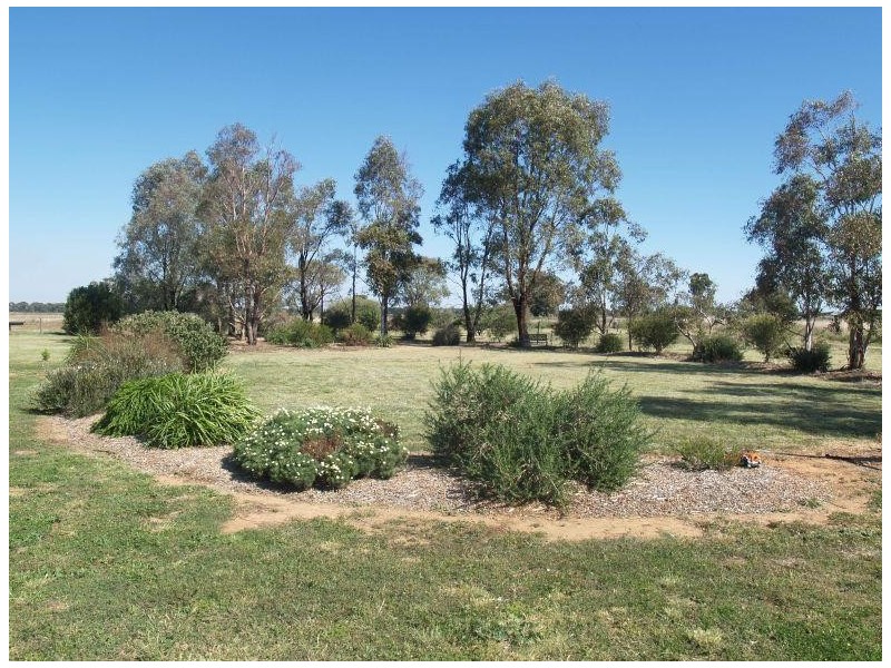 2123 Boothroyds Road, Numurkah VIC 3636