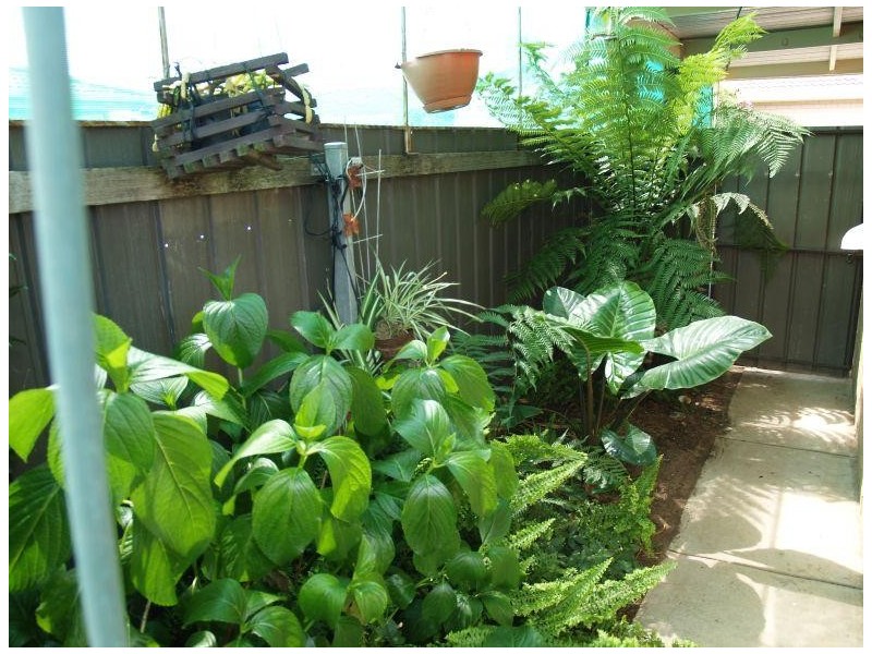 2 28 Gray Street, Numurkah VIC 3636