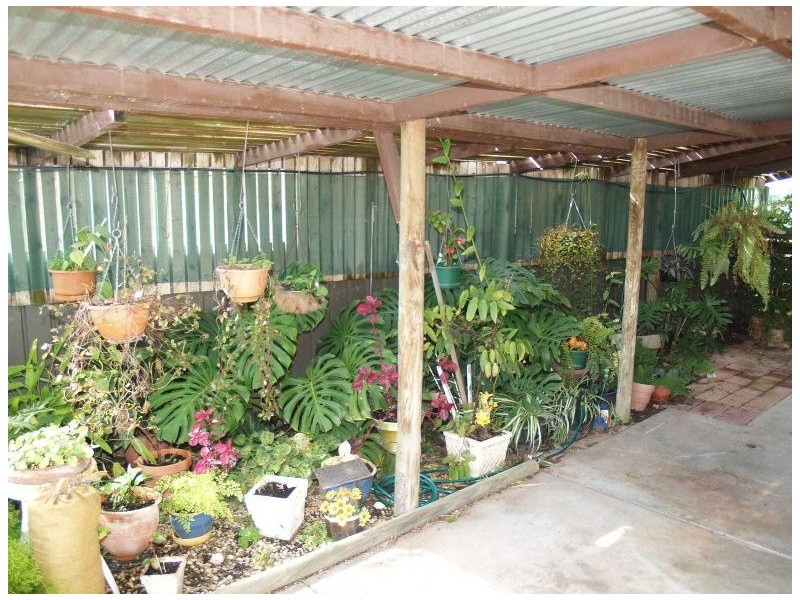 5/28 Gray Street, Numurkah VIC 3636