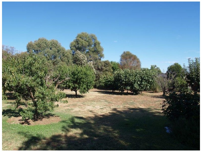 60 O’ Kanes Road, Numurkah VIC 3636