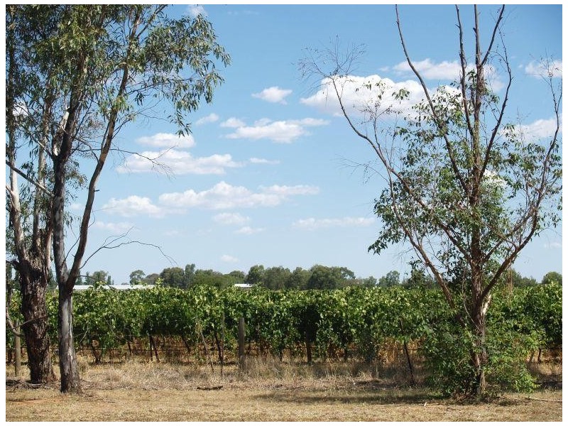 96 Berrys Road, Katunga VIC 3640