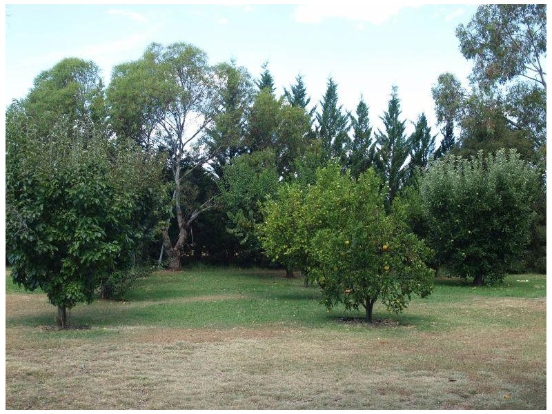 96 Berrys Road, Katunga VIC 3640