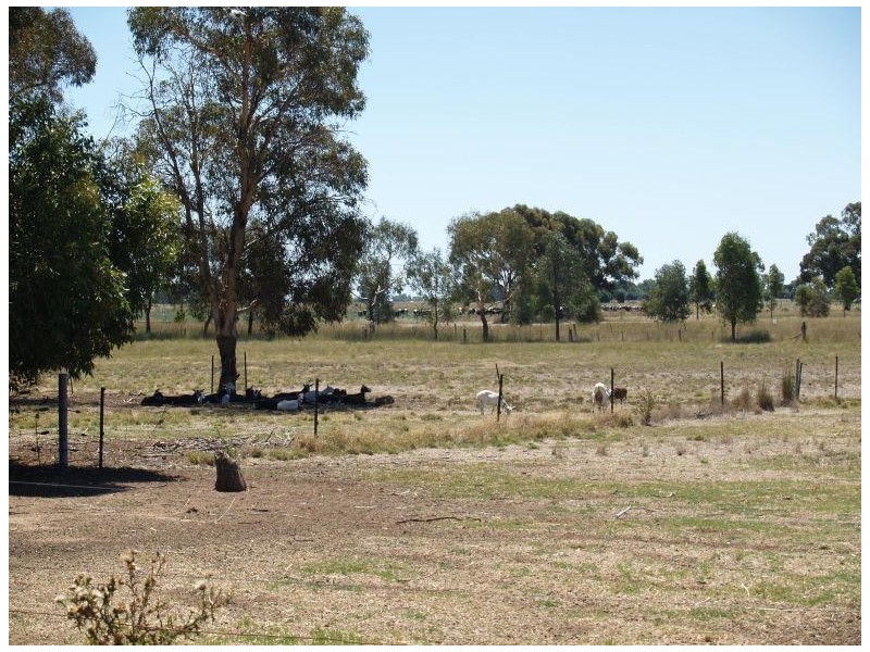 1821 Boothroyds Road, Numurkah VIC 3636