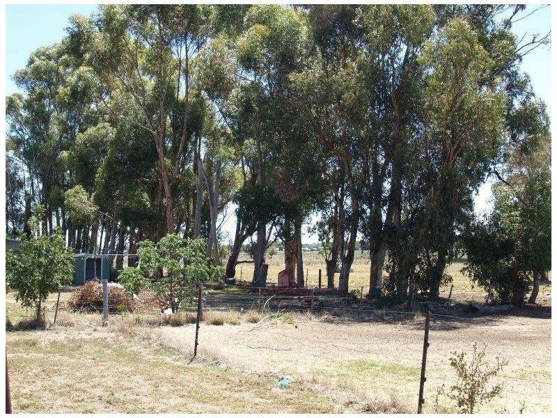 1821 Boothroyds Road, Numurkah VIC 3636