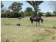 2 Carter Street East, Katunga VIC 3640