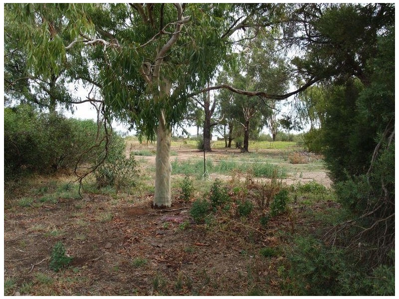 79 Waaia-Bearii Road, Waaia VIC 3637