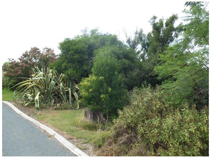 79 Waaia-Bearii Road, Waaia VIC 3637