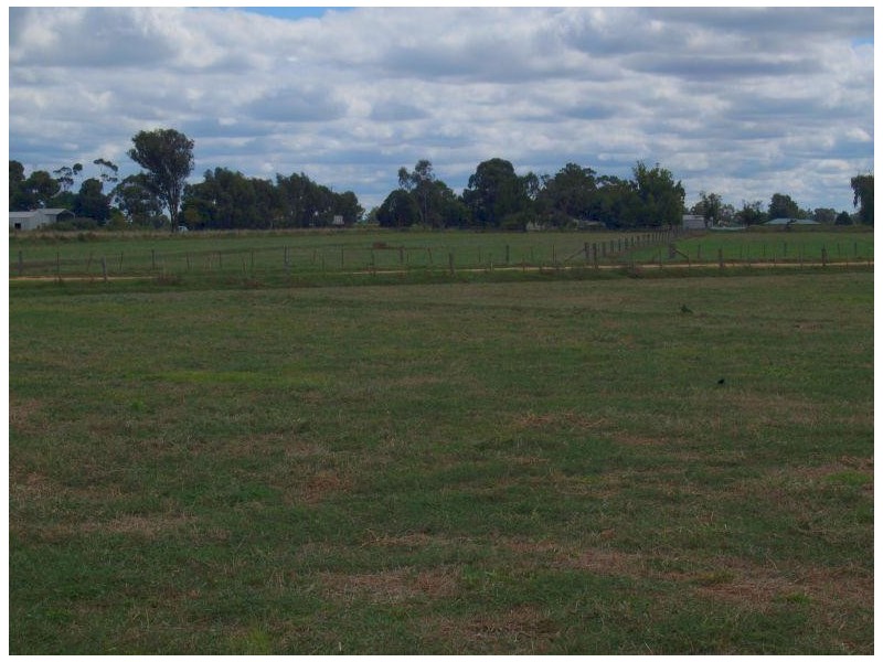 3796 Goulburn Valley Highway, Numurkah VIC 3636