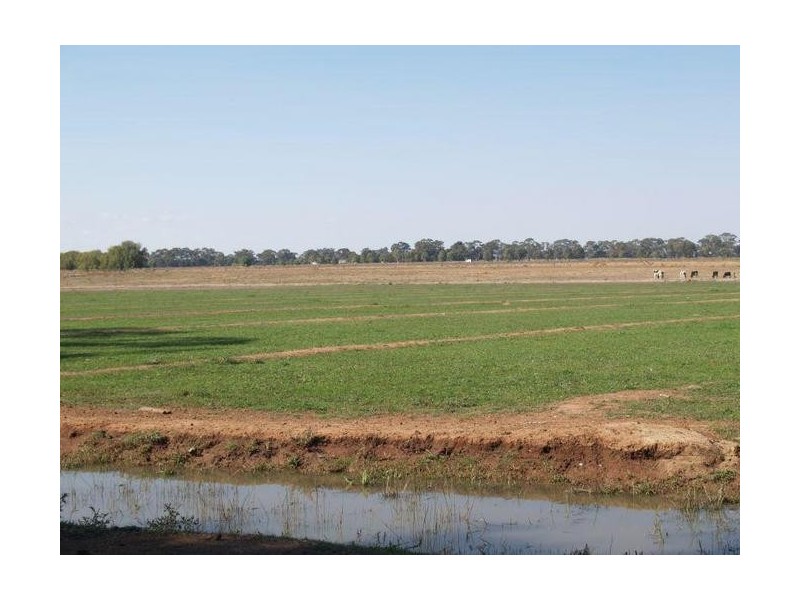 2896 Murray Valley Highway, Yielima VIC 3638