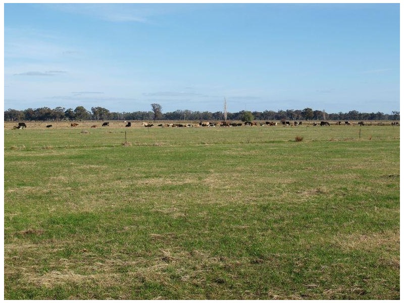 27 Buddee Street, Katamatite VIC 3649