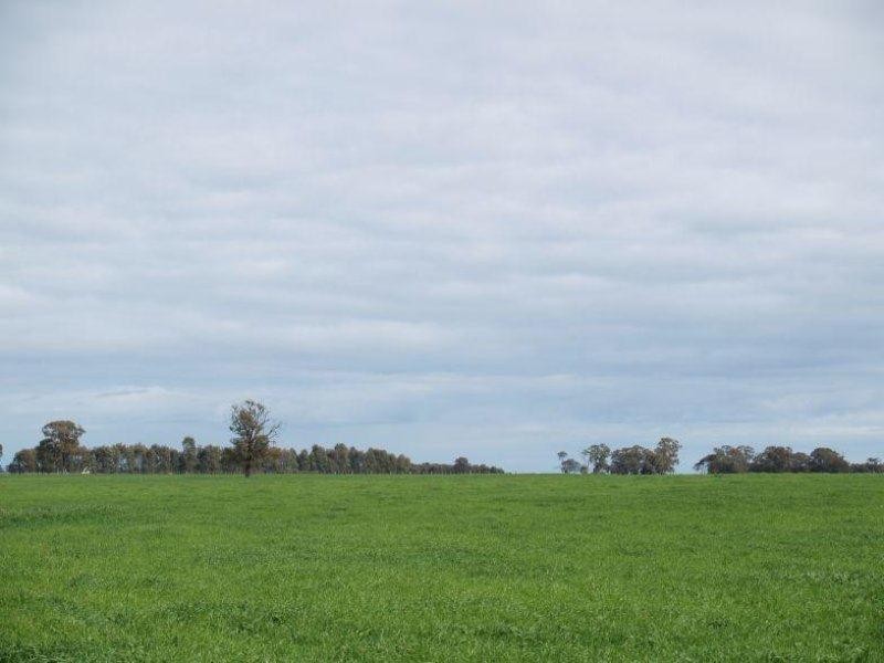 182 Lyles Road, Yielima VIC 3638