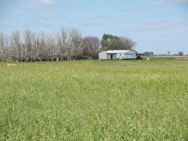 182 Lyles Road, Yielima VIC 3638