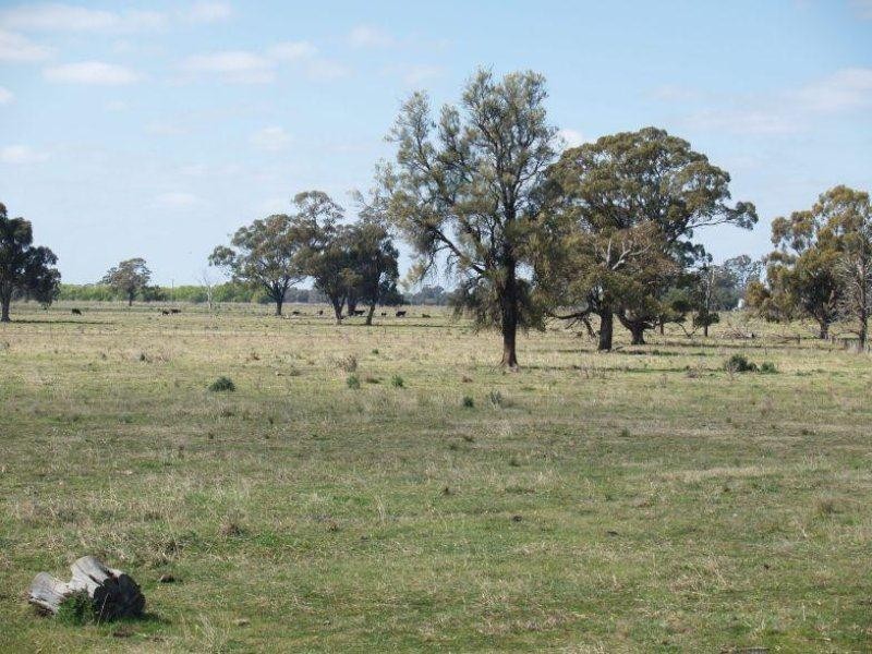 182 Lyles Road, Yielima VIC 3638