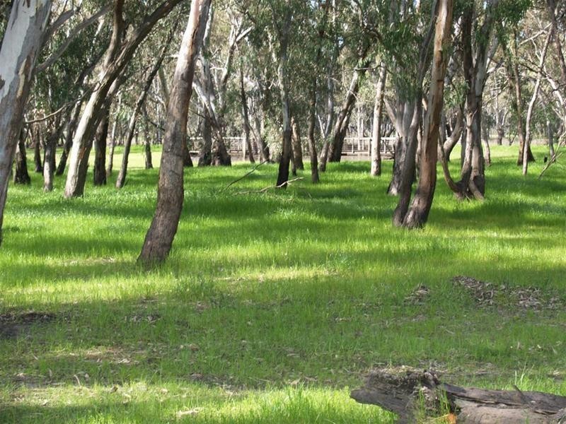 20 Brooke Court, Numurkah VIC 3636