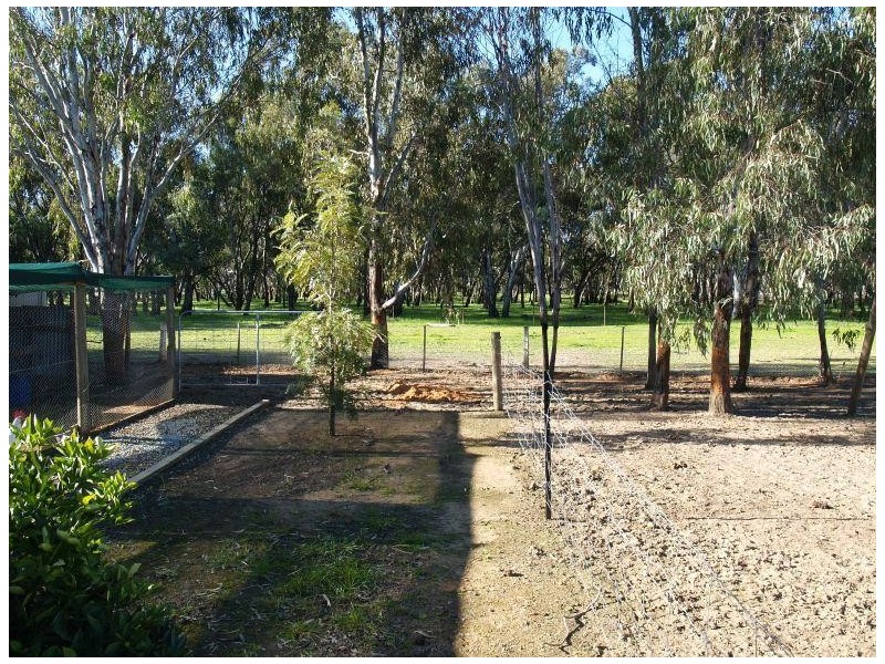 20 Brooke Court, Numurkah VIC 3636