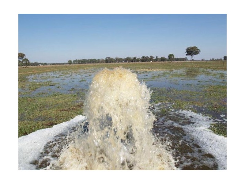 2896 Murray Valley Highway, Yielima VIC 3638