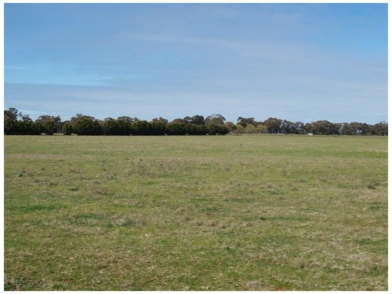 2896 Murray Valley Highway, Yielima VIC 3638