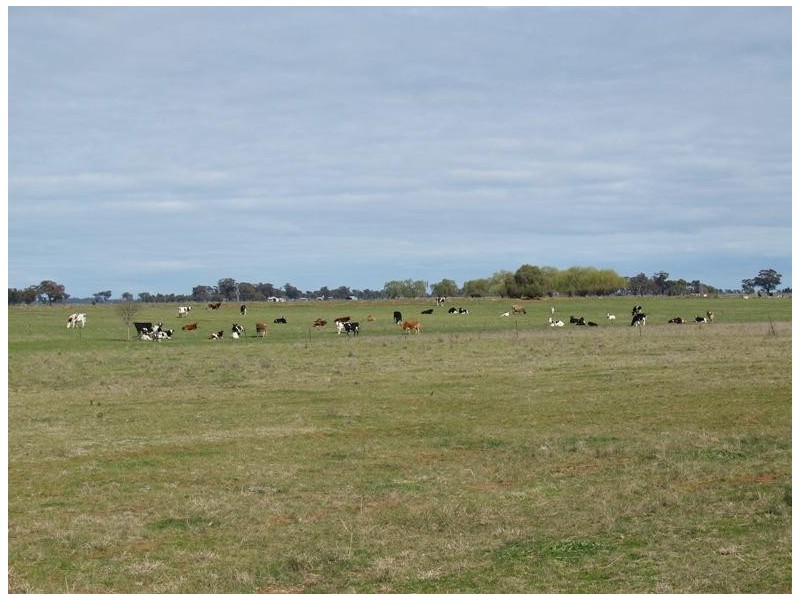 2896 Murray Valley Highway, Yielima VIC 3638