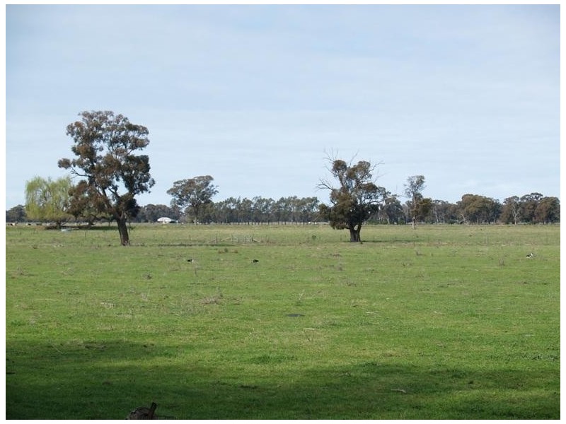 2896 Murray Valley Highway, Yielima VIC 3638