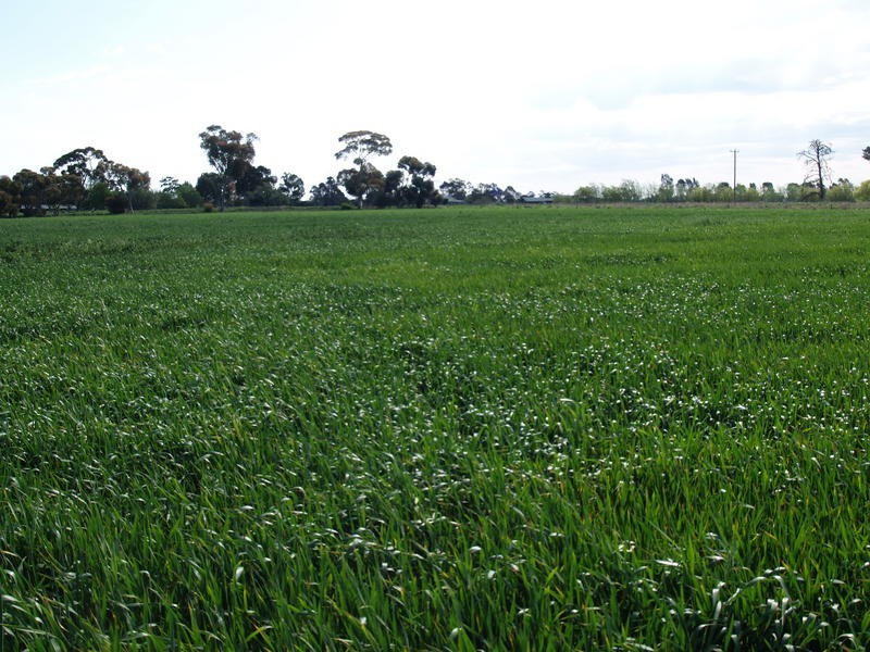 345 Spences Road, Katunga VIC 3640