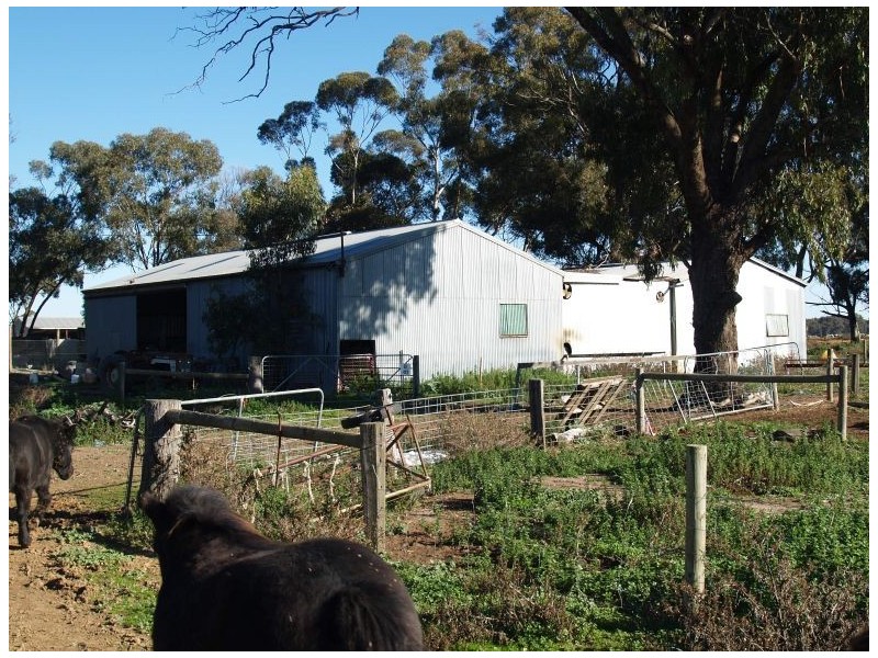 462 Gordons Road, Drumanure VIC 3636