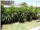 3 Moss Street, Numurkah VIC 3636