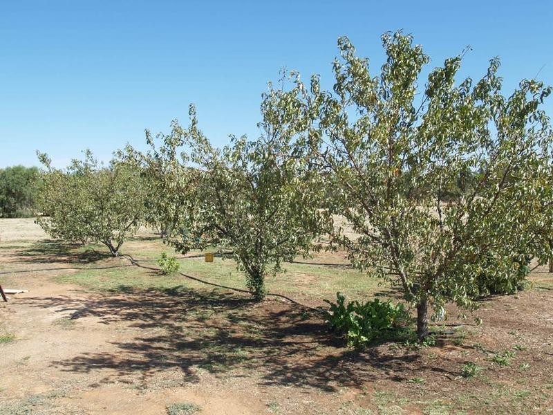 13 – 19 Ferris Street, Bearii VIC 3641