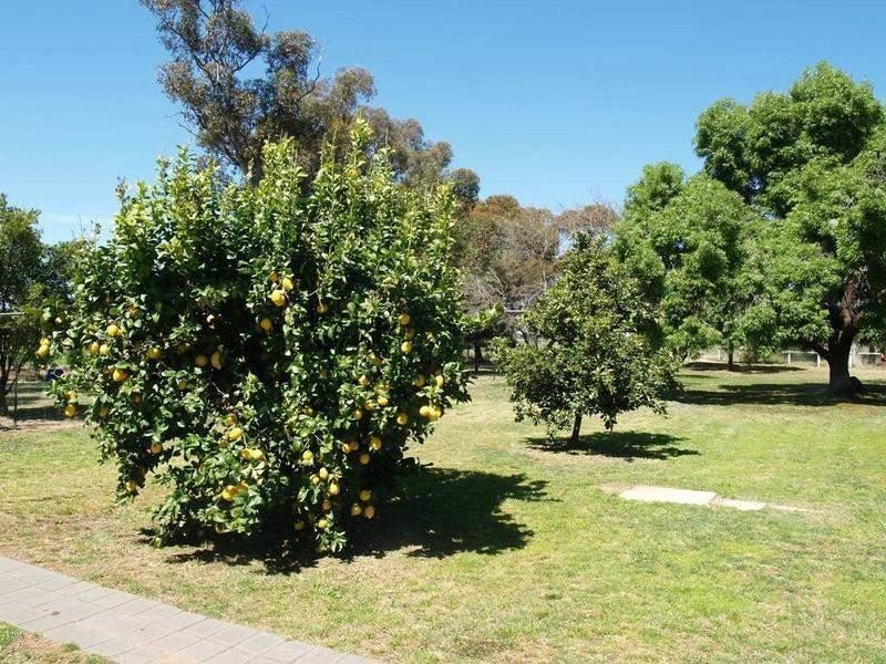 178 Katunga-Picola Road, Katunga VIC 3640