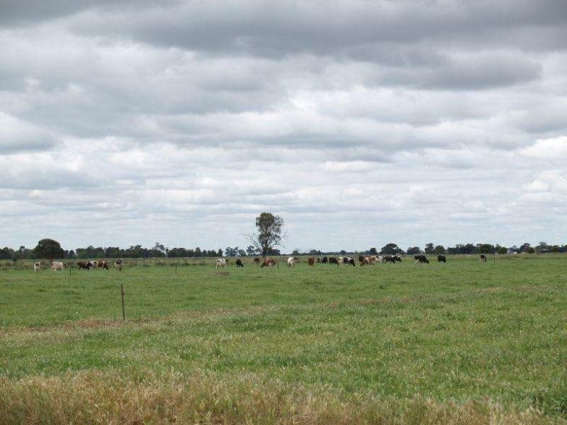 1557 Singapore Road, Naring VIC 3636