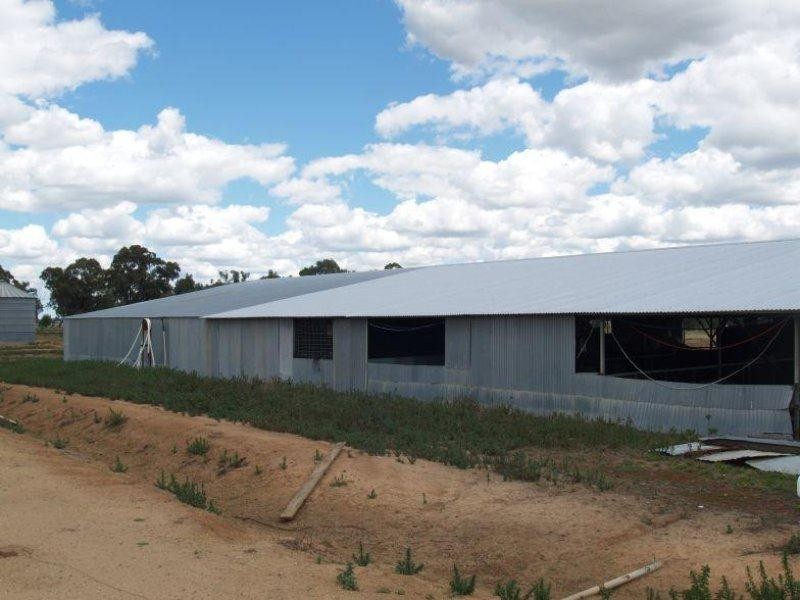 17 Irrigation Road, Numurkah VIC 3636