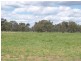 17 Irrigation Road, Numurkah VIC 3636