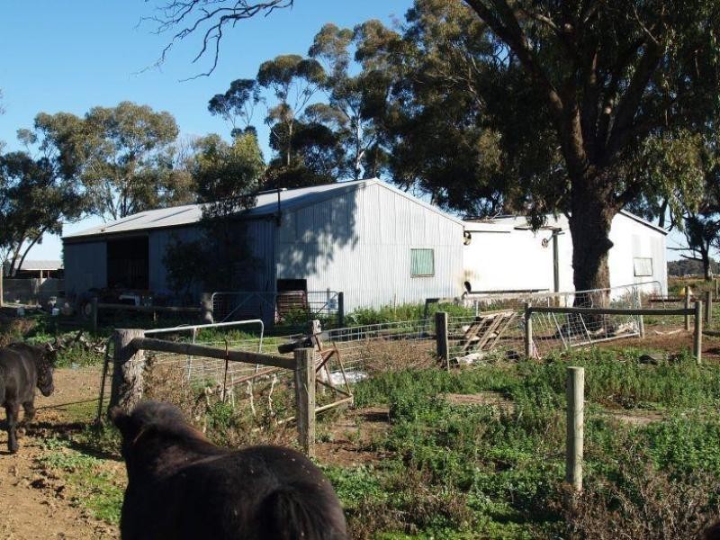 462 Gordons Road, Numurkah VIC 3636