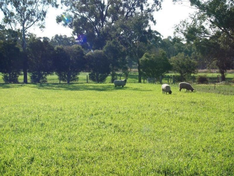 462 Gordons Road, Numurkah VIC 3636