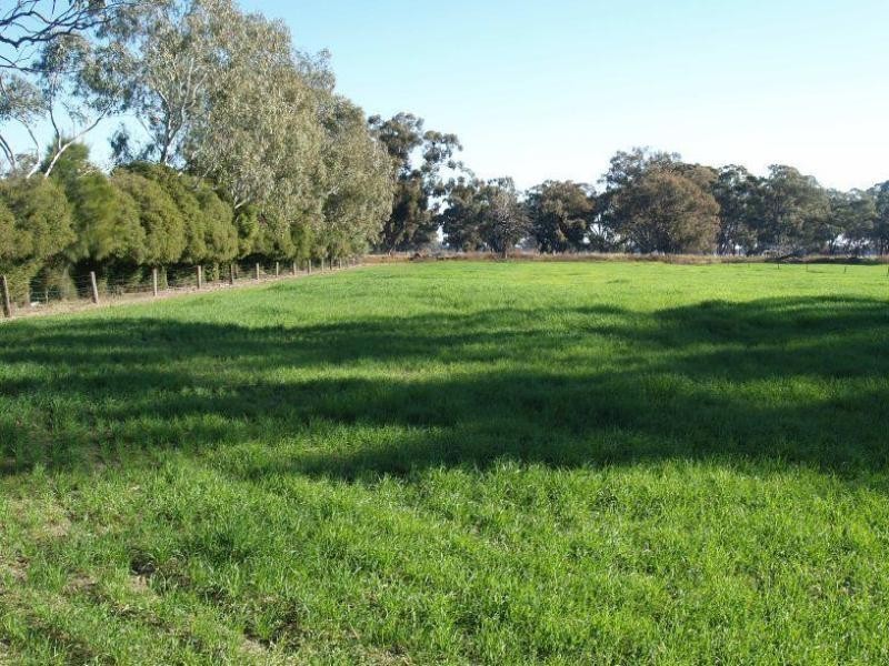 462 Gordons Road, Numurkah VIC 3636