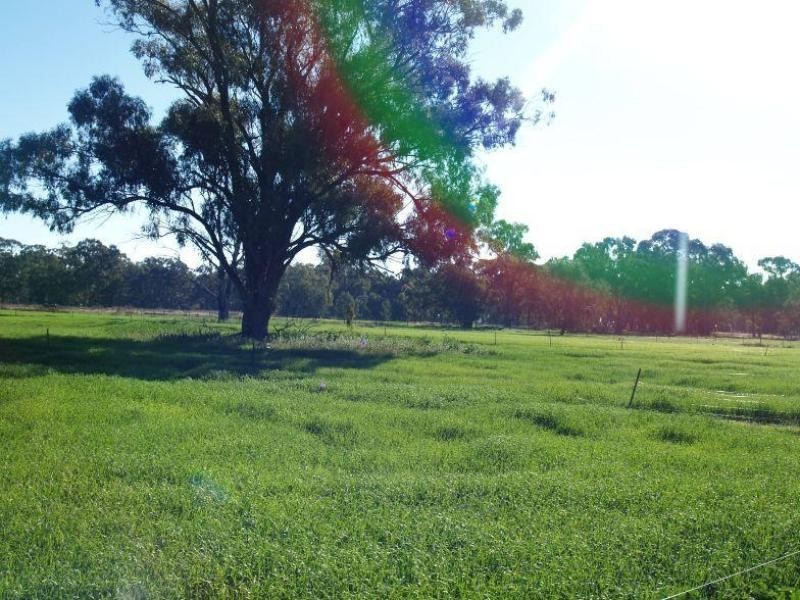 462 Gordons Road, Numurkah VIC 3636