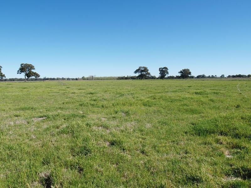 1014 Nathalia-Waaia Road, Waaia VIC 3637
