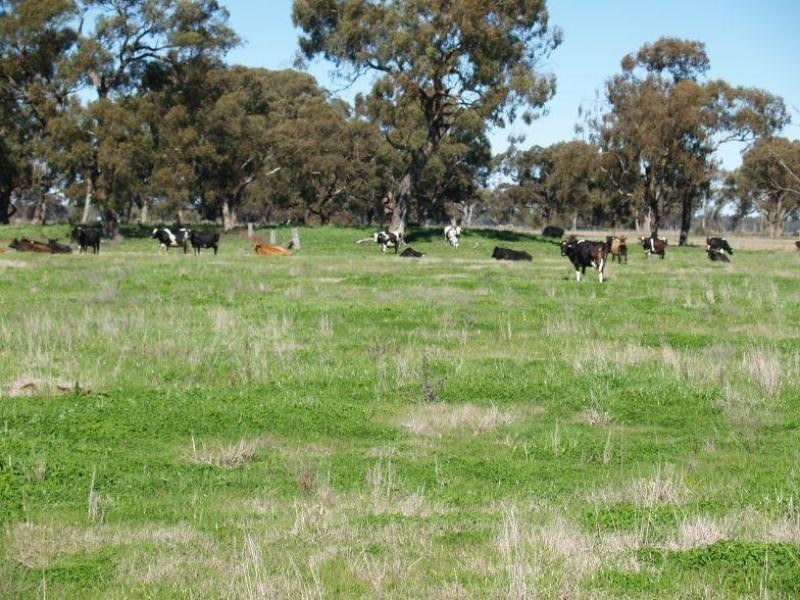 1014 Nathalia-Waaia Road, Waaia VIC 3637