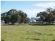 1014 Nathalia-Waaia Road, Waaia VIC 3637