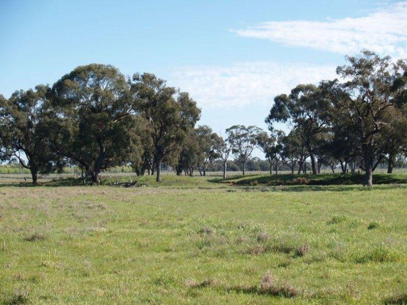 1014 Nathalia-Waaia Road, Waaia VIC 3637