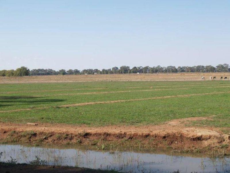 2896 Murray Valley Highway, Yielima VIC 3638