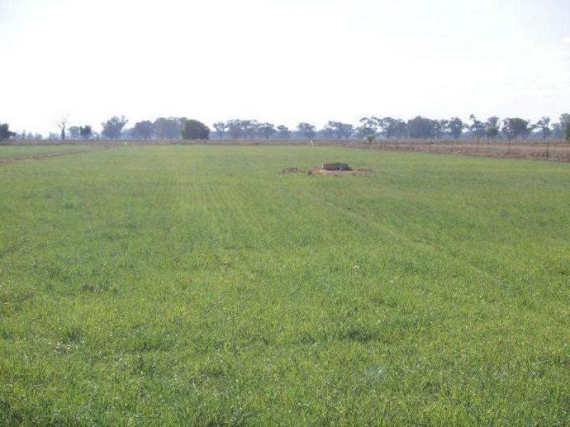 2896 Murray Valley Highway, Yielima VIC 3638