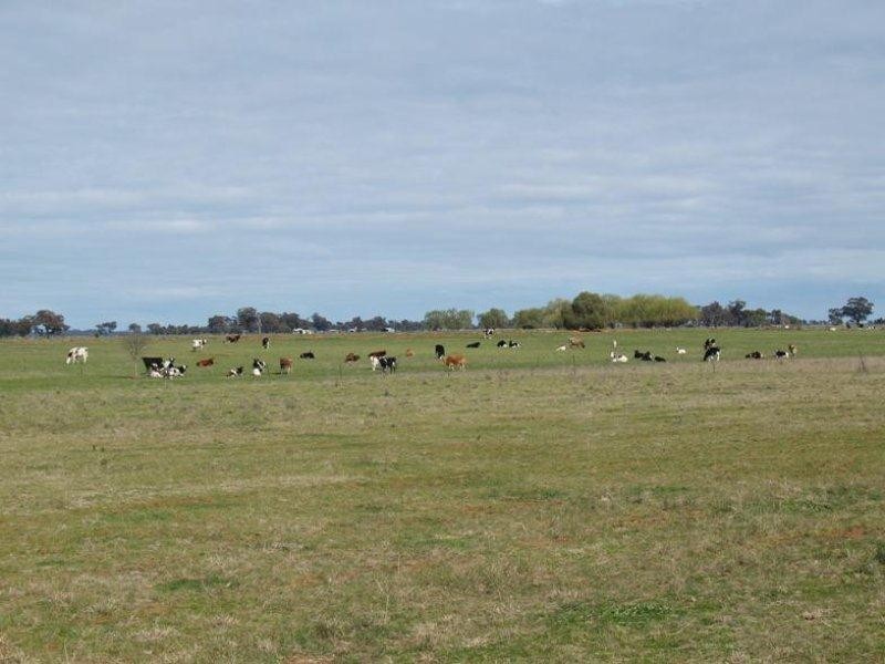 2896 Murray Valley Highway, Yielima VIC 3638