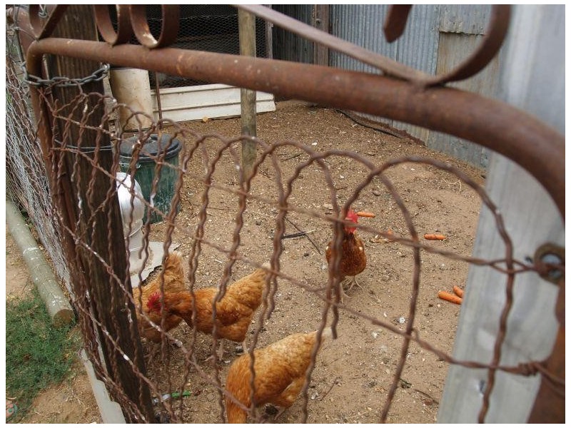 76 Butts Road, Numurkah VIC 3636