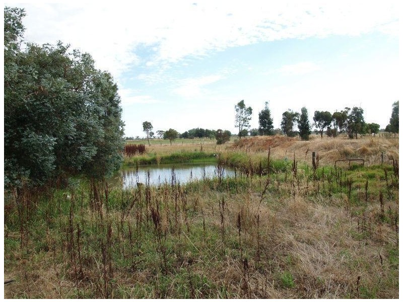 76 Butts Road, Numurkah VIC 3636